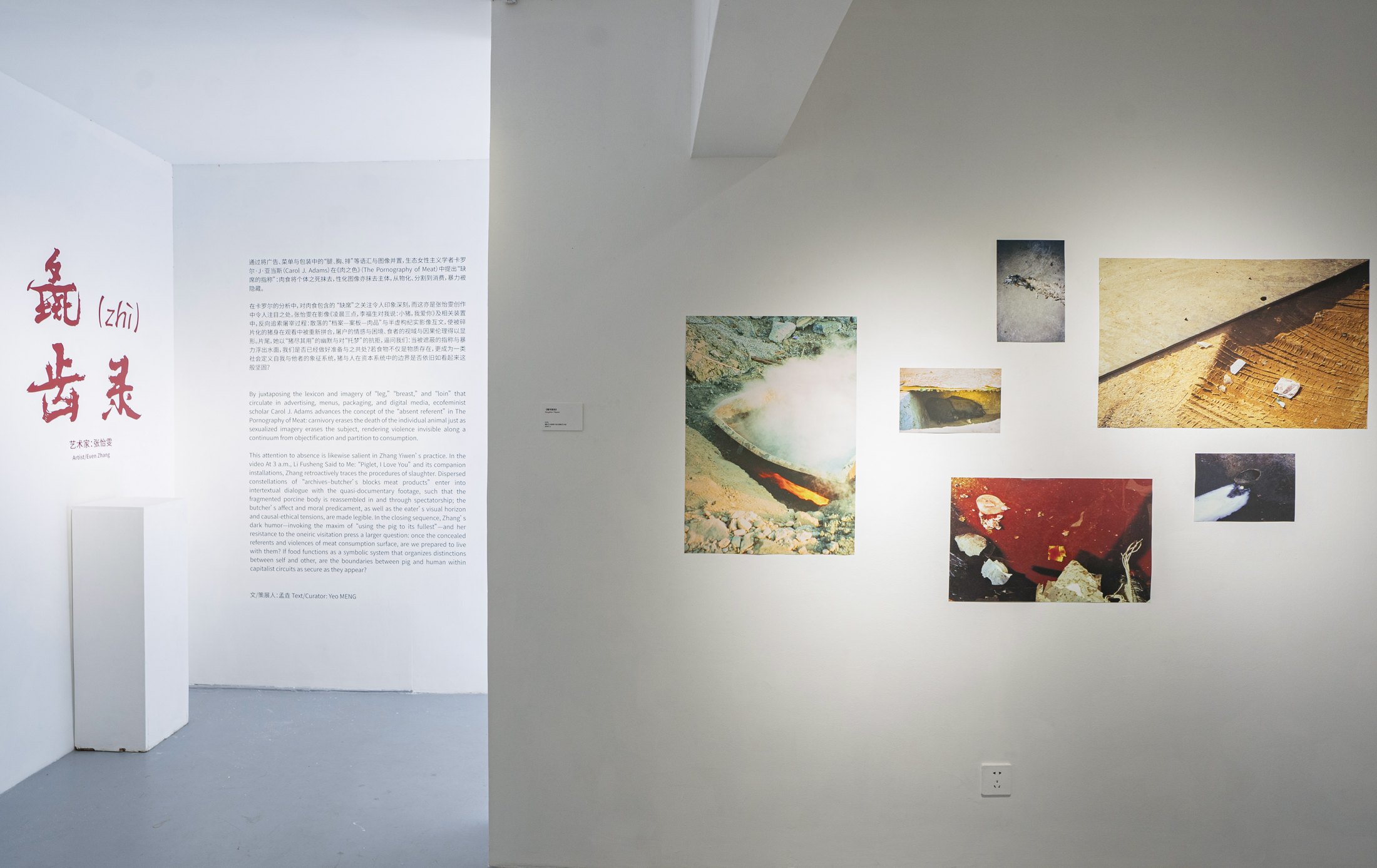 Record of Swine installation view